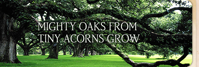 Oak Hills - Overview